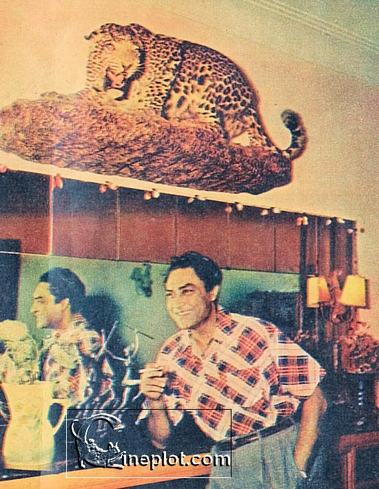 The drawing-room, dominated by the panther snarling down from the wall.